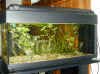 DSCN1239.JPG (29101 byte)
