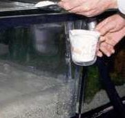 [Immagine] Un cucchiaio di sale viene aggiunto alla vasca