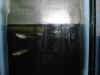 Poecilia_natal.jpg (165092 byte)